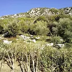 Nyaraló Old Olive House