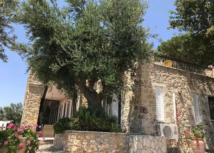 Old Olive House Zacharo