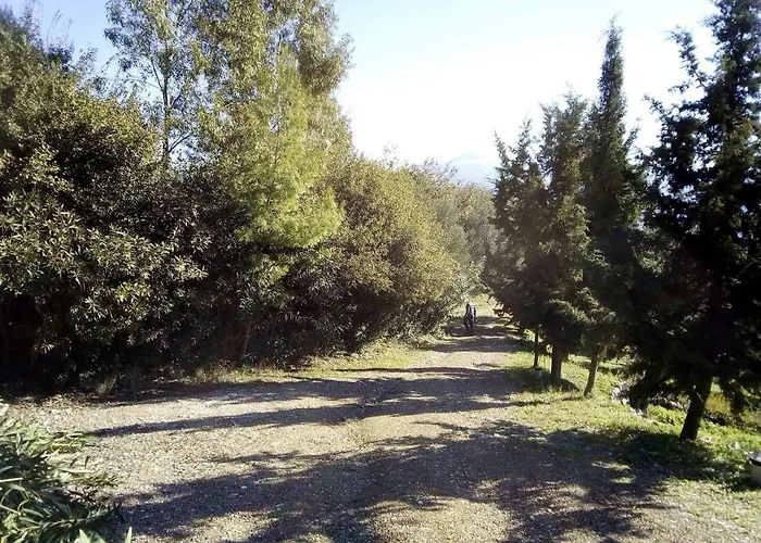 Hébergement de vacances Old Olive House *