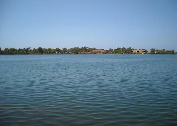 Old Olive House Hébergement de vacances