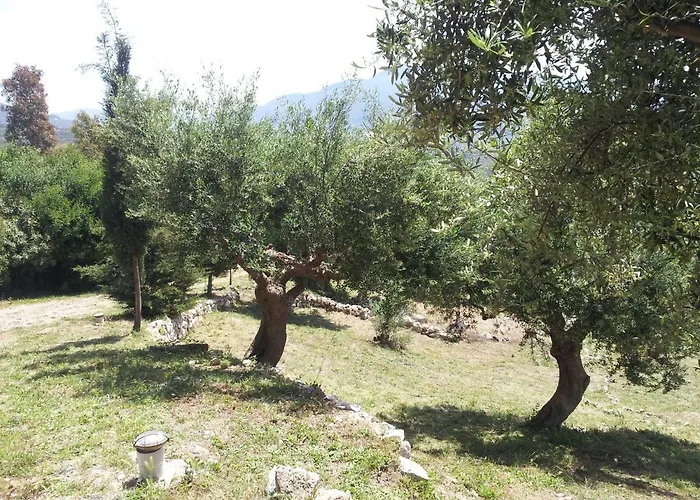 Old Olive House Hébergement de vacances *