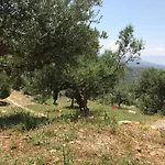 Old Olive House Zacharo