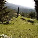 Old Olive House Hébergement de vacances Zacharo