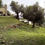 Hébergement de vacances Old Olive House *