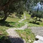 Old Olive House * Zacharo
