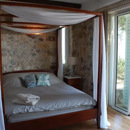 Old Olive House *