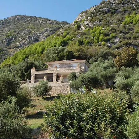 Old Olive House * ザハロ