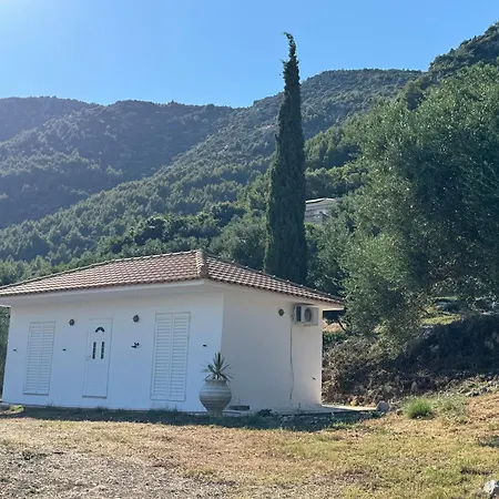 Old Olive House *