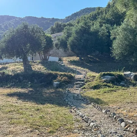 Old Olive House Дом отдыха Захаро