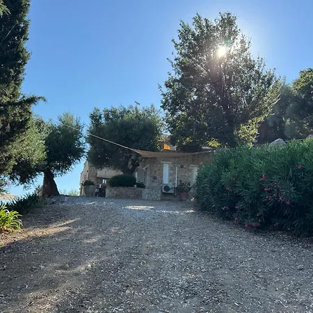Old Olive House Дом отдыха