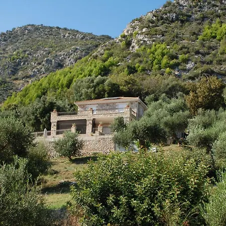 Semesterbostad Old Olive House