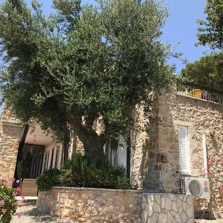 Old Olive House Zacharo