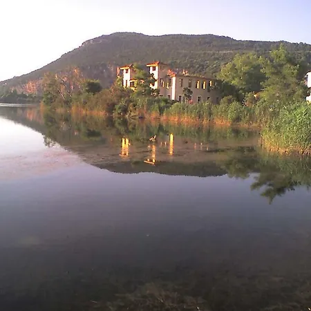 Old Olive House Semesterbostad Zacharo