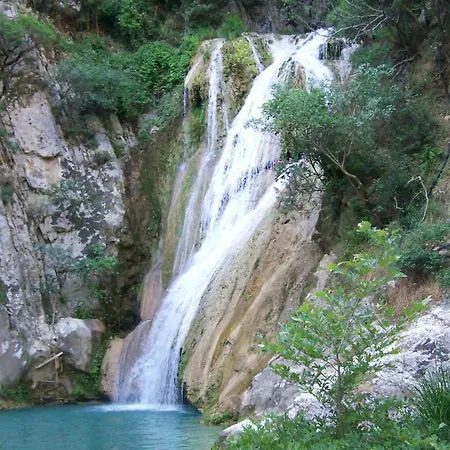 Old Olive House Semesterbostad *
