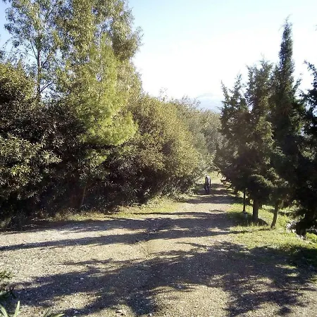 Casa de Férias Old Olive House *