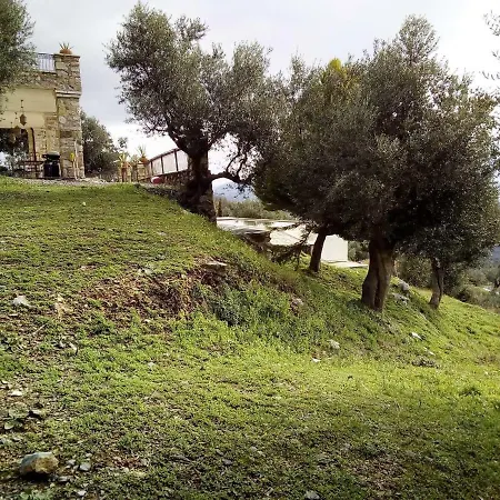 Semesterbostad Old Olive House *