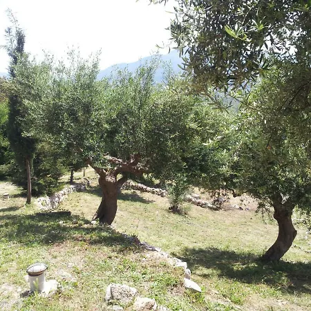 Old Olive House Casa de Férias *