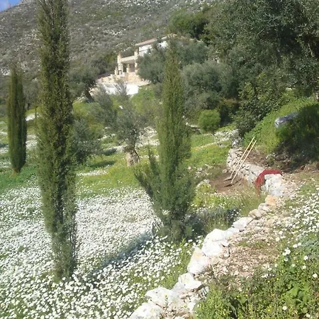 Old Olive House Дом отдыха *