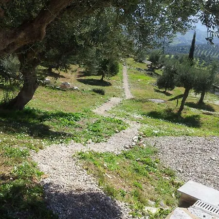 Old Olive House * Zacharo