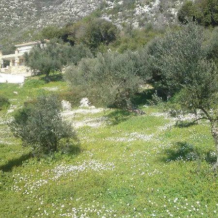 Old Olive House Zacharo