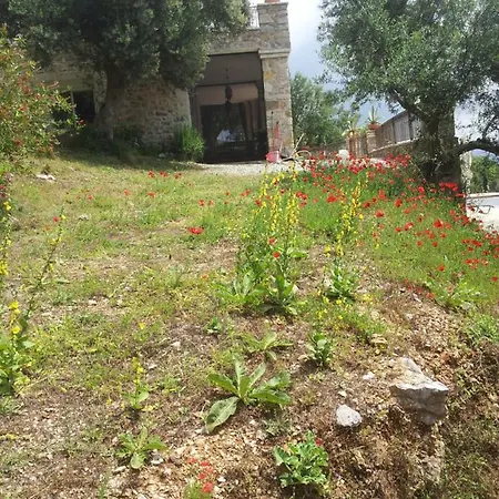 Old Olive House * Захаро