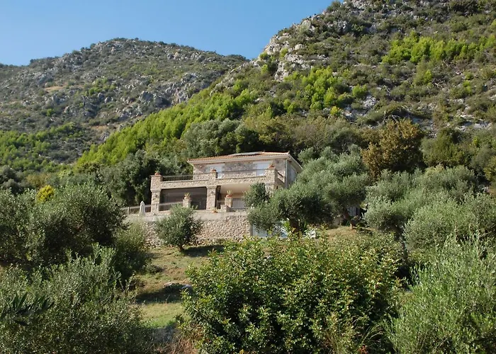 Vakantiehuis Old Olive House