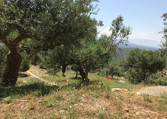 Old Olive House Zaháro