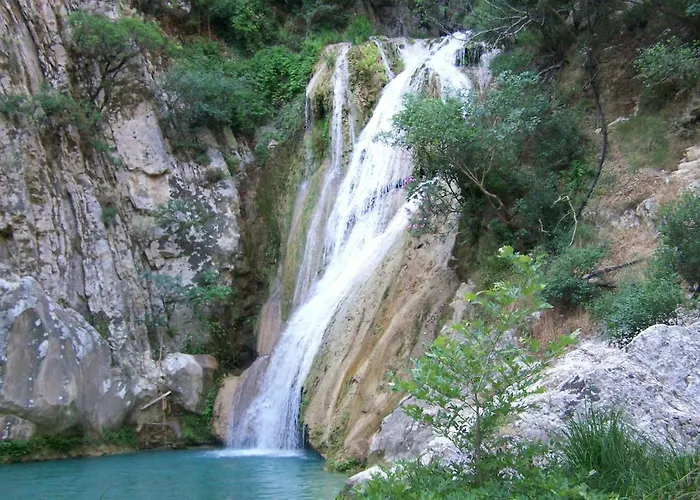 Old Olive House 別荘 *