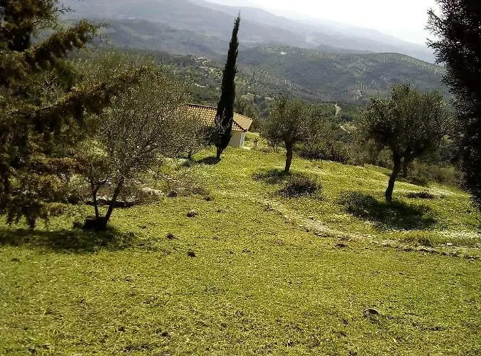 Old Olive House Tatil Evi Zaharo