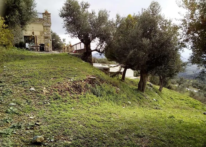 Vakantiehuis Old Olive House *