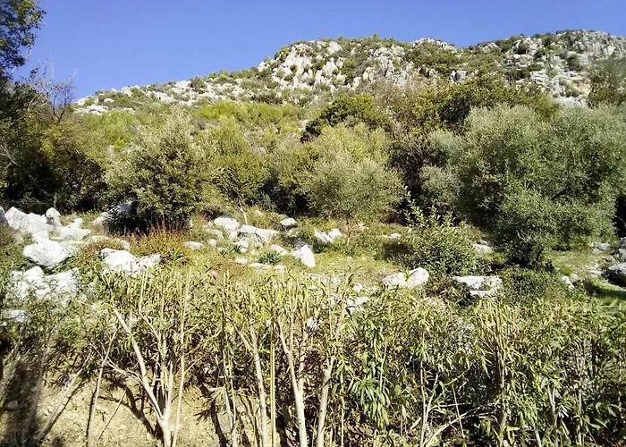 Tatil Evi Old Olive House