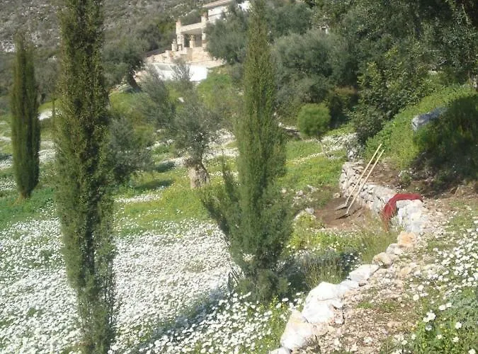 Old Olive House Tatil Evi *