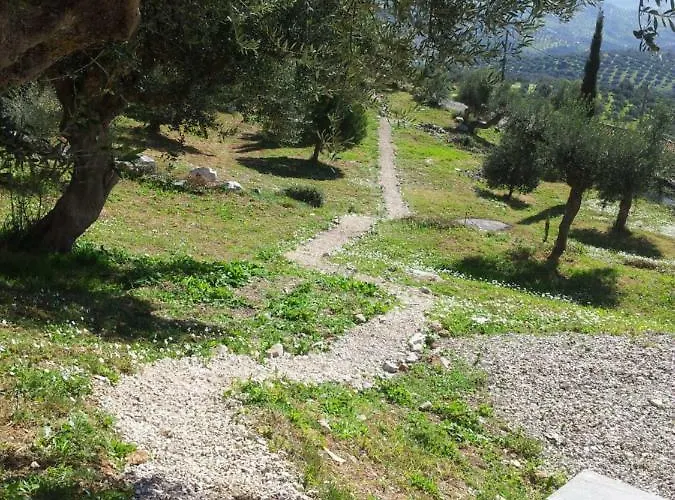 Old Olive House * Zacharo