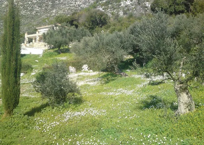 Old Olive House Zaháro