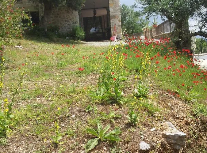 Old Olive House * Zacharo