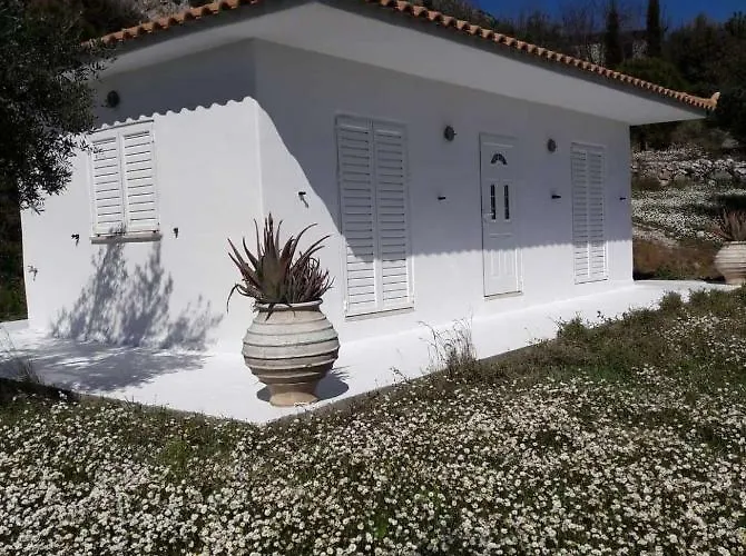 Old Olive House *